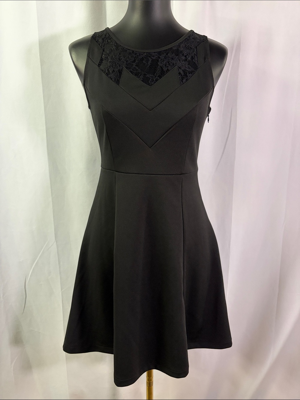 Attention Black Lace Accent Sleeveless Fit & Flare Mini Dress